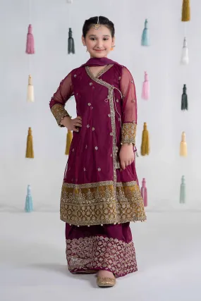 3 Piece Embroidered Net Suit | MKS-EA24-36