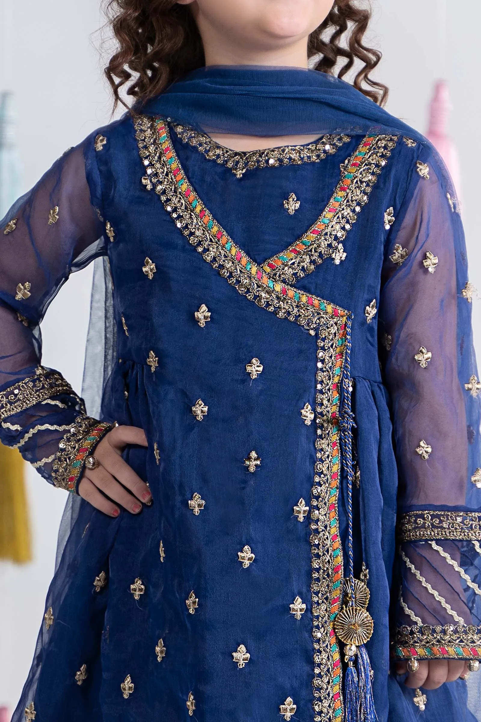 3 Piece Embroidered Organza Suit | MKS-EA24-15