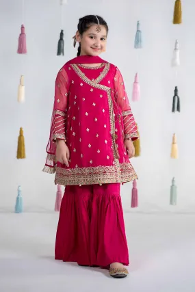 3 Piece Embroidered Organza Suit | MKS-EA24-15