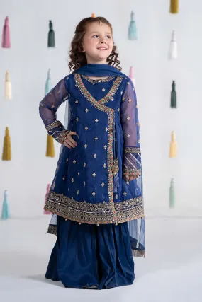 3 Piece Embroidered Organza Suit | MKS-EA24-15