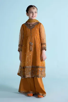 3 Piece Embroidered Organza Suit | MKS-EA24-28