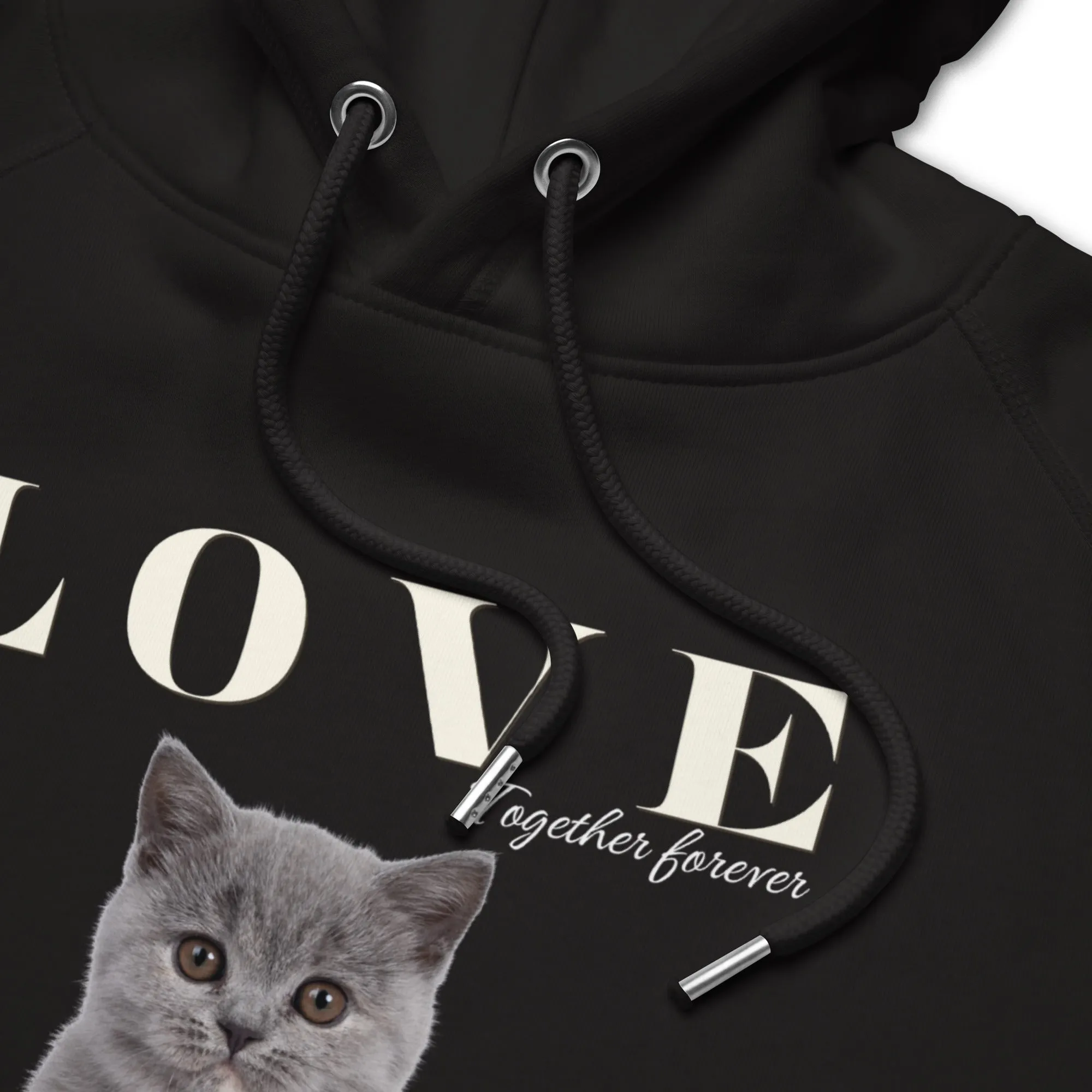 British Shorthair, Unisex pullover hoodie