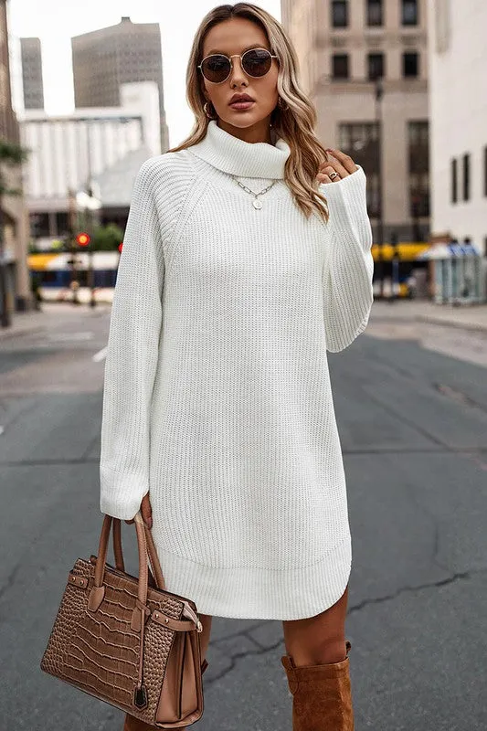 Chunky Turtleneck Sweater Dress