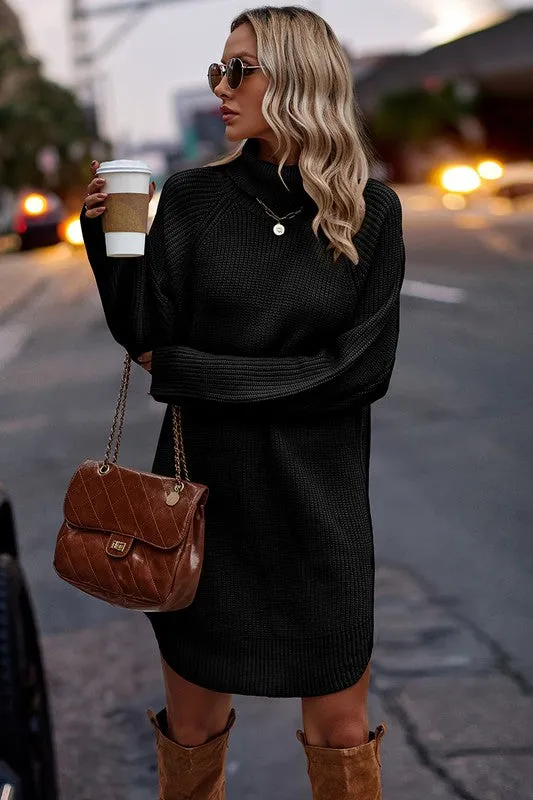 Chunky Turtleneck Sweater Dress