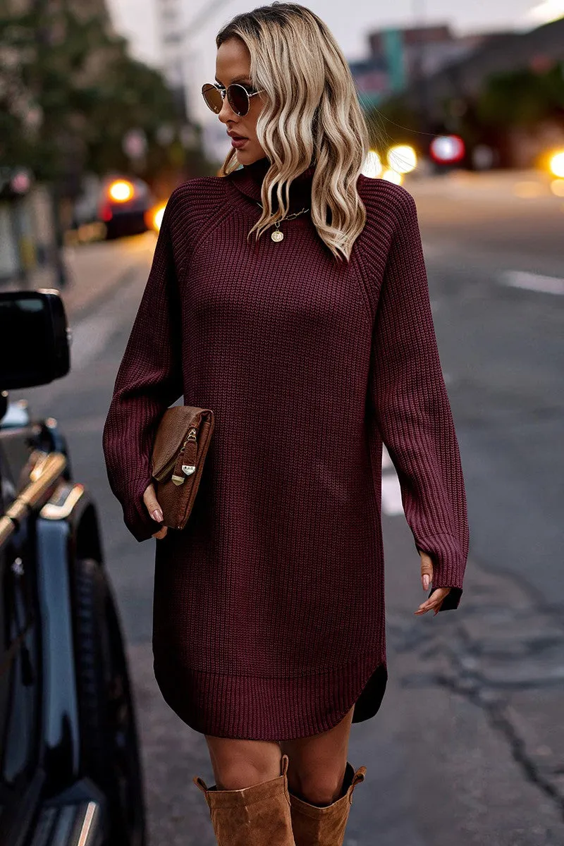 Chunky Turtleneck Sweater Dress