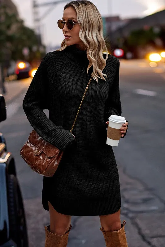 Chunky Turtleneck Sweater Dress