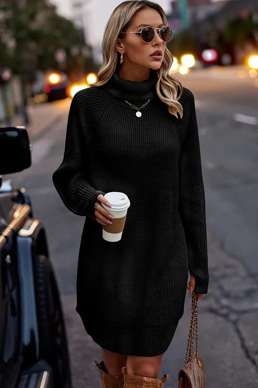 Chunky Turtleneck Sweater Dress