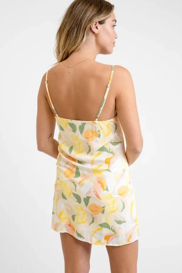 Ivy Slip Mini Dress (Apricot)