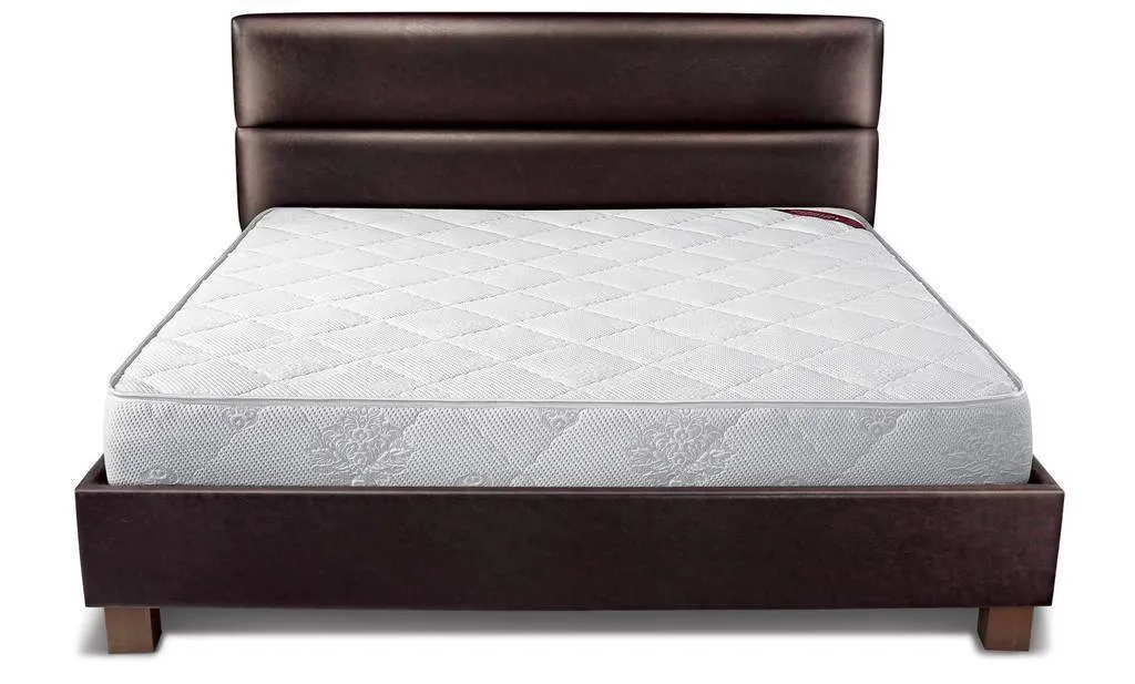 Springwel Soft Foam Mattress